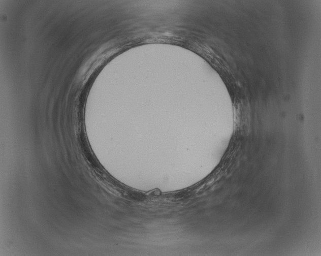 X0000078240291200612011611