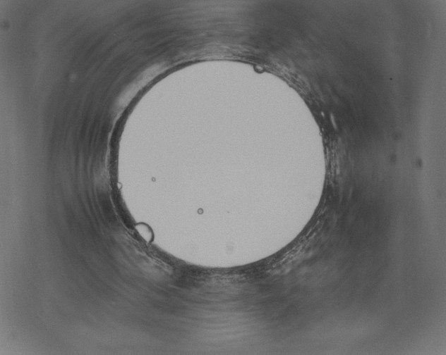 X0000078240292200612011611