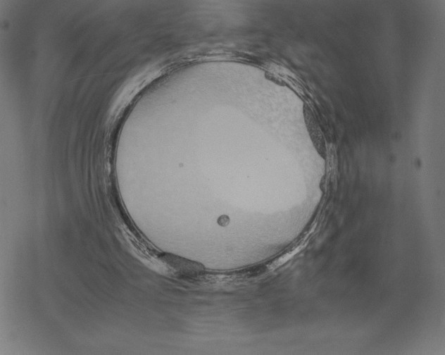 X0000078240293200612011611