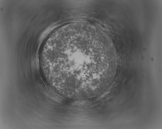 X0000078240294200612011611