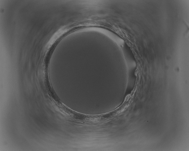 X0000078240295200612011611