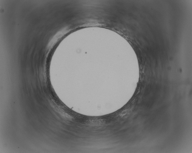 X0000078240296200612011611