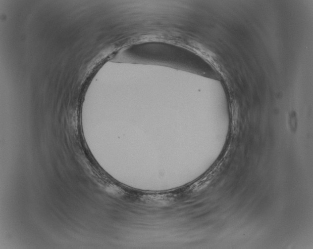 X0000078240297200612011611