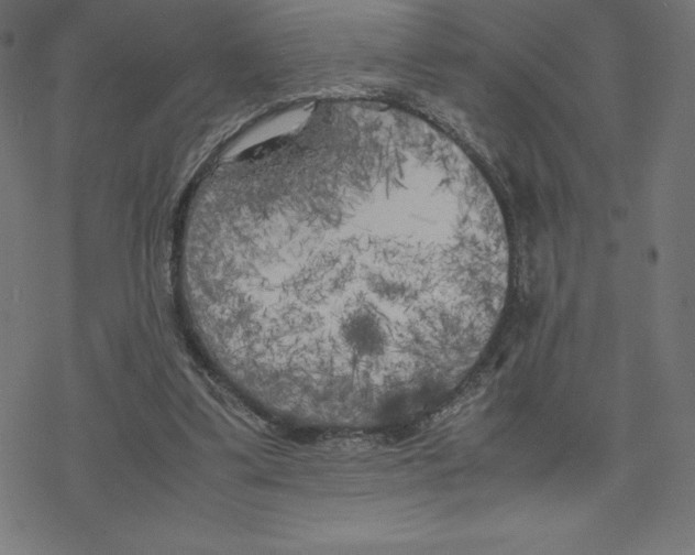 X0000078240299200612011611