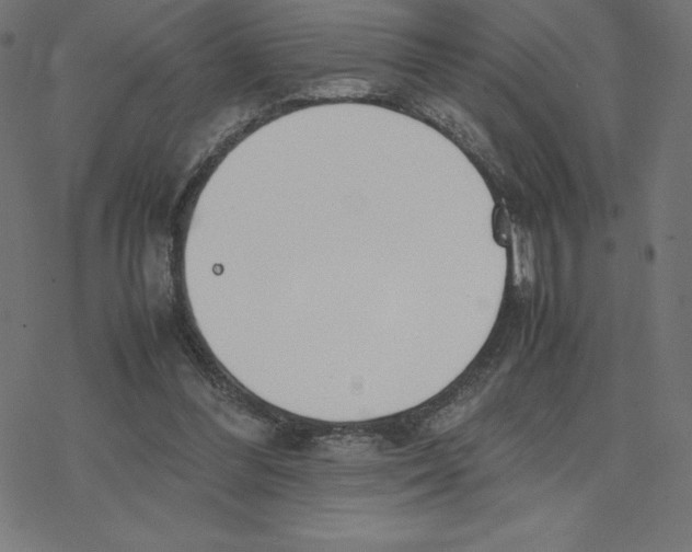 X0000078240300200612011611