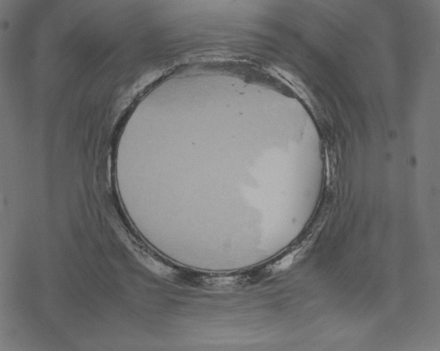 X0000078240301200612011611