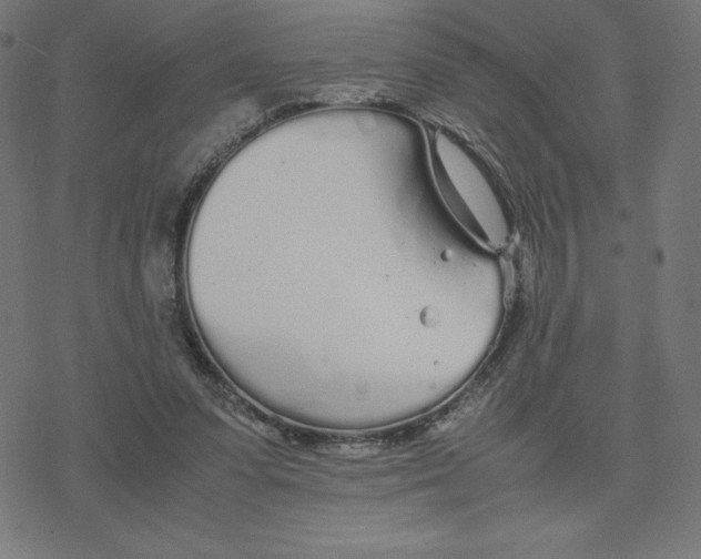 X0000078240303200612011611