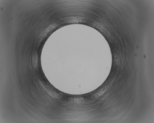 X0000078240304200612011611