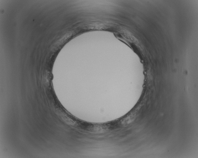 X0000078240305200612011611