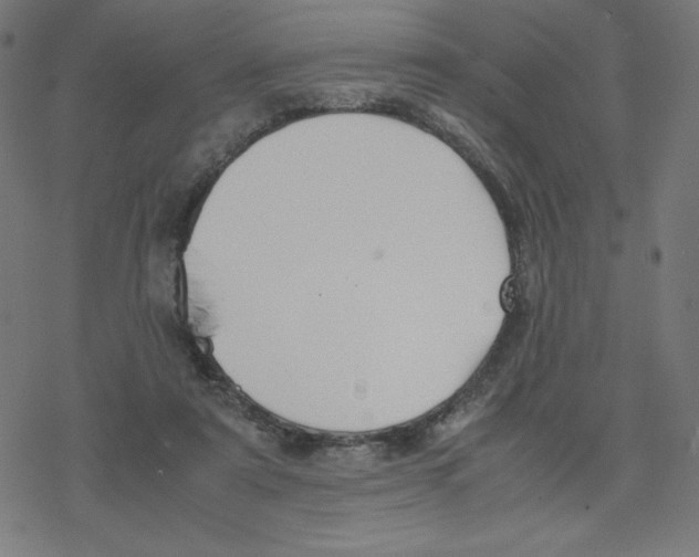 X0000078240307200612011611