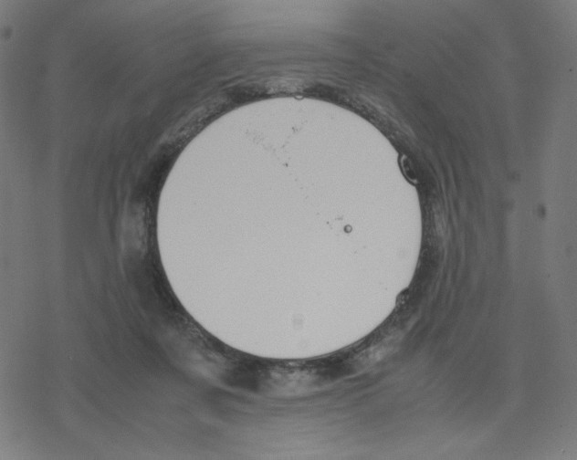 X0000078240311200612011611