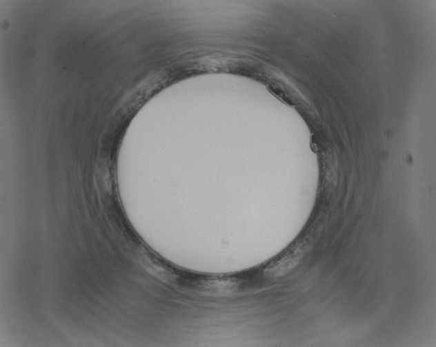 X0000078240313200612011611