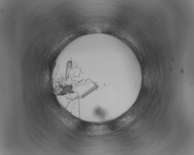 X0000078240314200612011611