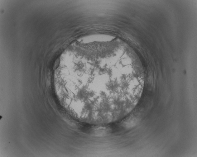 X0000078240315200612011611