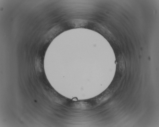 X0000078240316200612011611