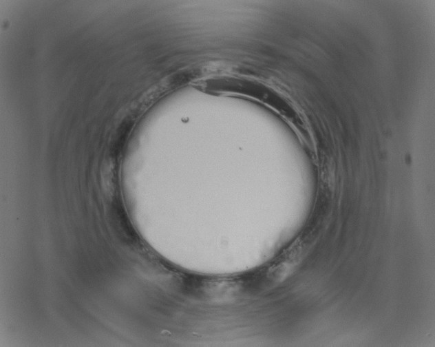 X0000078240319200612011611