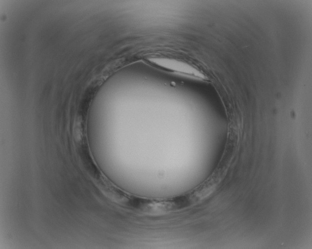 X0000078240323200612011611