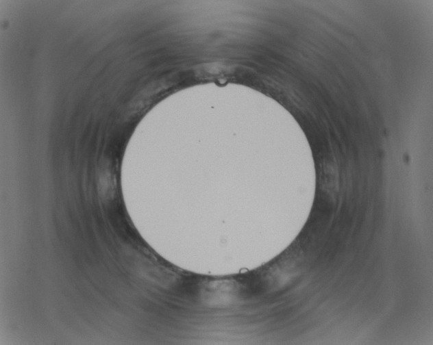 X0000078240324200612011611