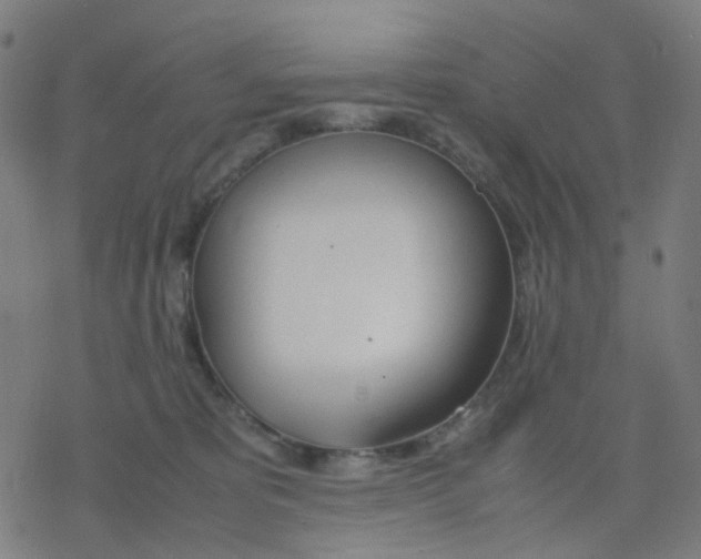 X0000078240325200612011611