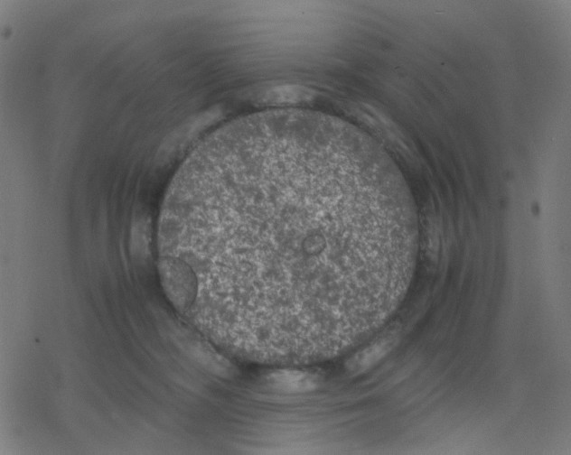 X0000078240326200612011611