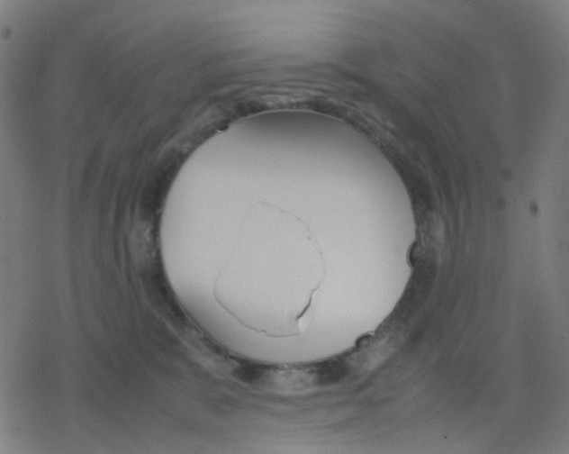 X0000078240327200612011611