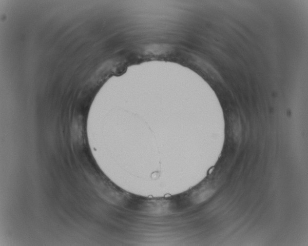 X0000078240328200612011611