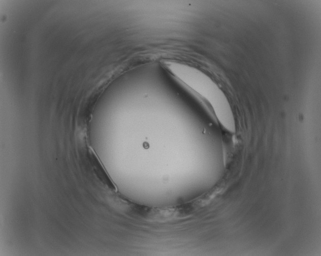 X0000078240329200612011611