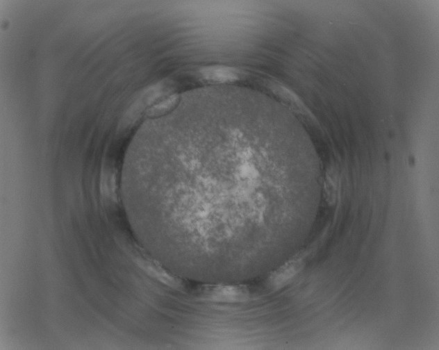 X0000078240330200612011611