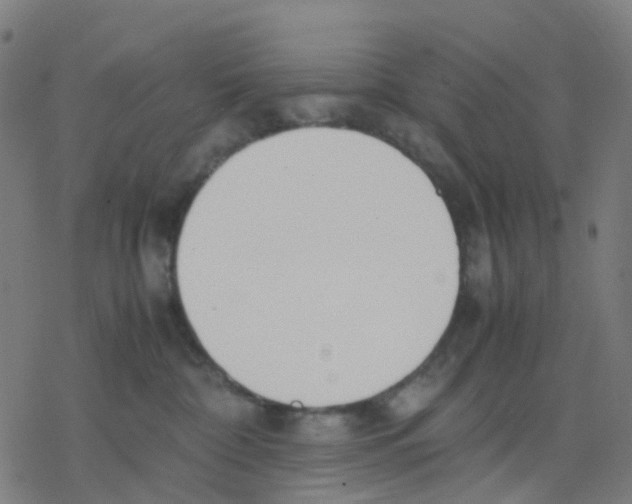 X0000078240332200612011611