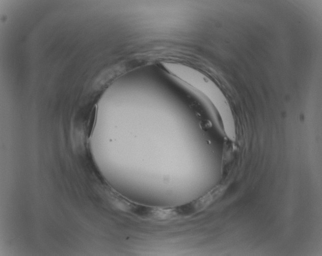 X0000078240333200612011611