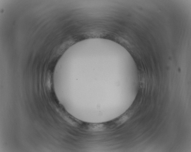 X0000078240334200612011611