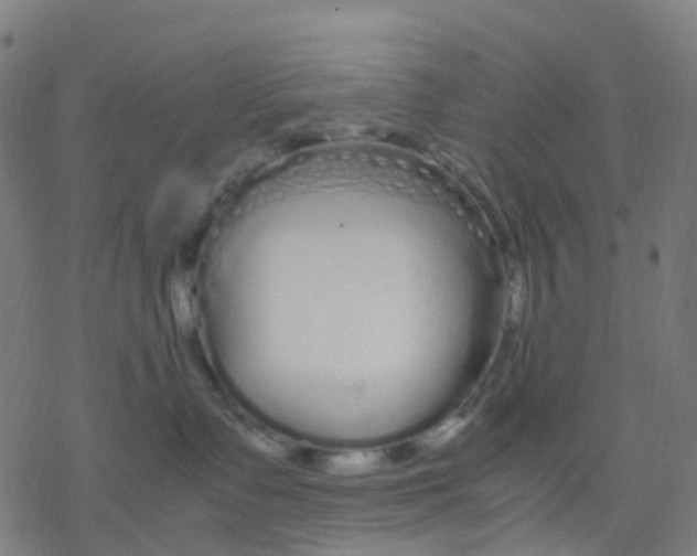 X0000078240335200612011611