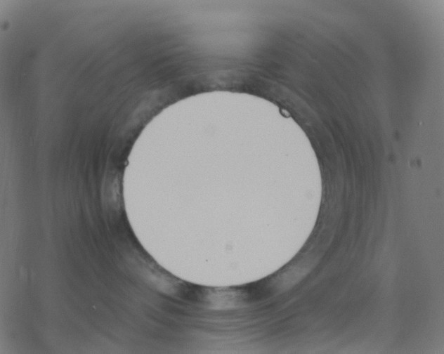 X0000078240336200612011611