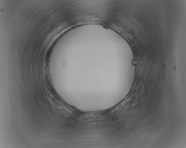 X0000078240338200612011610