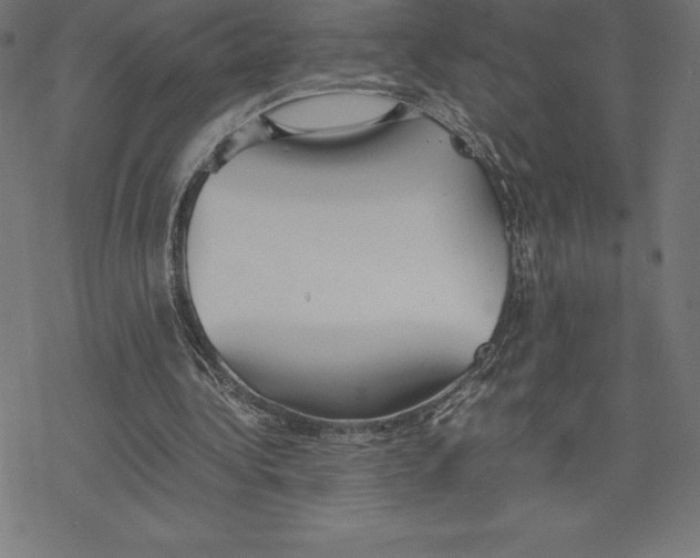 X0000078240340200612011610