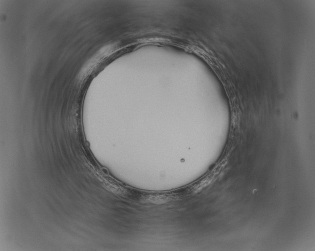 X0000078240341200612011610