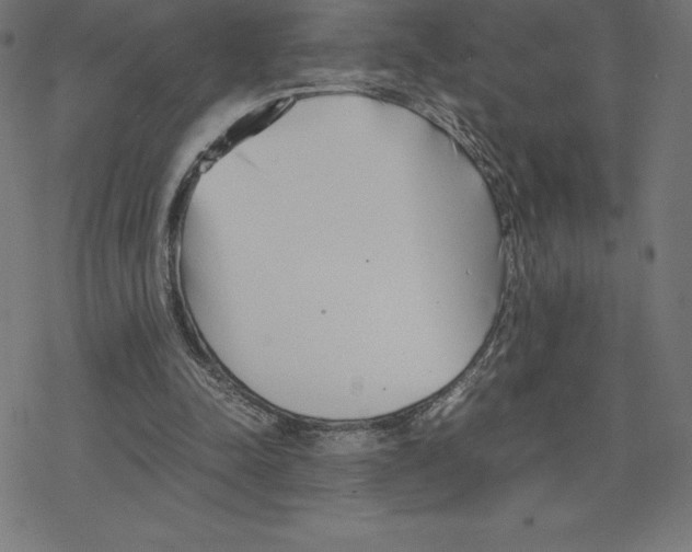 X0000078240342200612011610