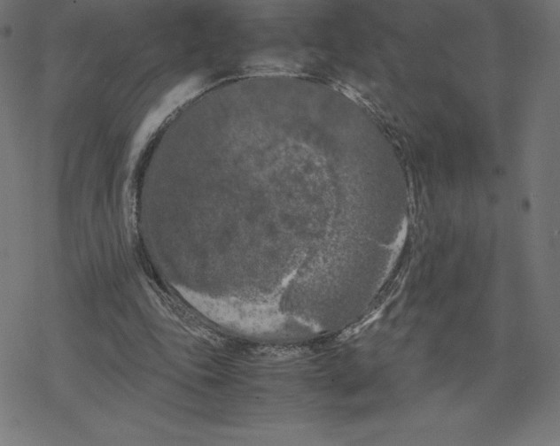 X0000078240343200612011610