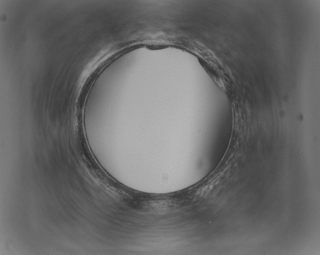 X0000078240344200612011610