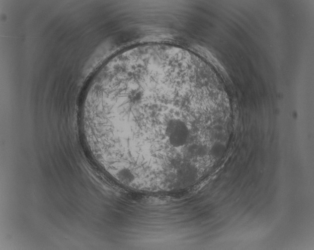 X0000078240346200612011610