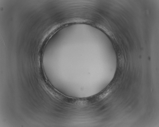 X0000078240350200612011610