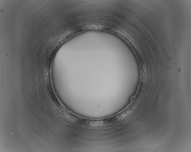 X0000078240355200612011610