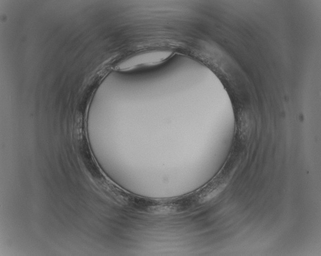 X0000078240356200612011610