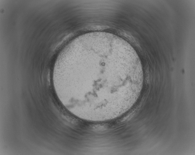 X0000078240358200612011610