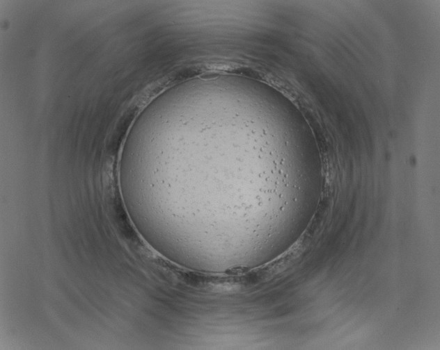 X0000078240360200612011610