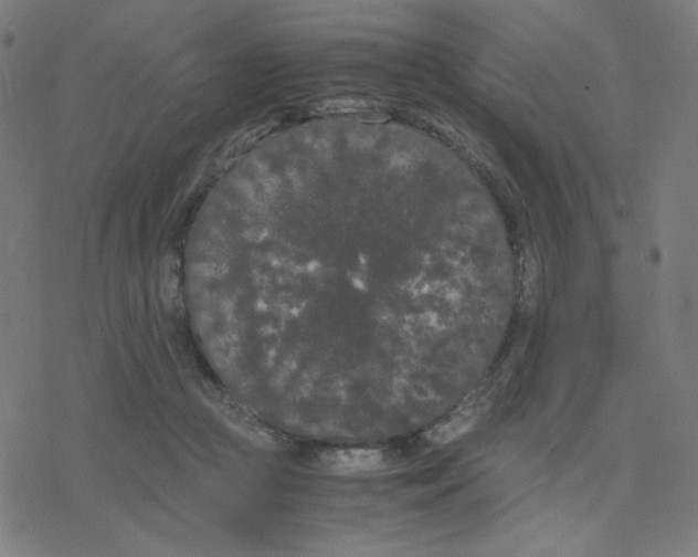 X0000078240361200612011610