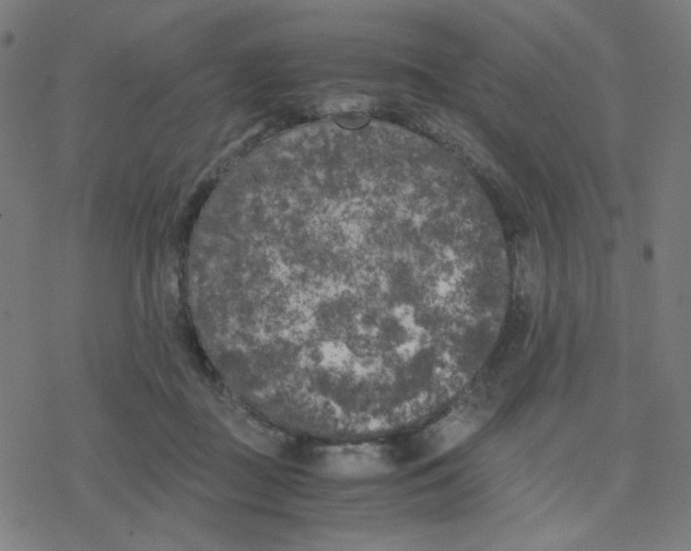 X0000078240363200612011610