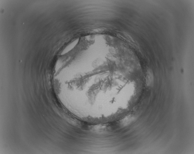 X0000078240366200612011610