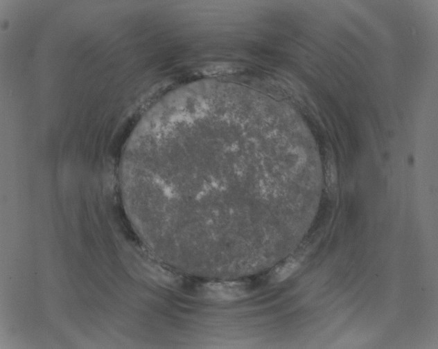 X0000078240367200612011610