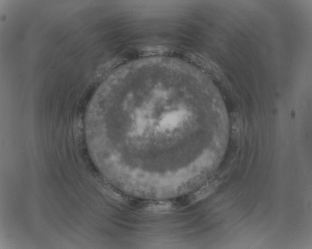 X0000078240369200612011610